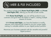 Details on the Master Resell Rights (MRR) and Private Label Rights (PLR) included with the 1000 Email Campaign Subject Lines guide.