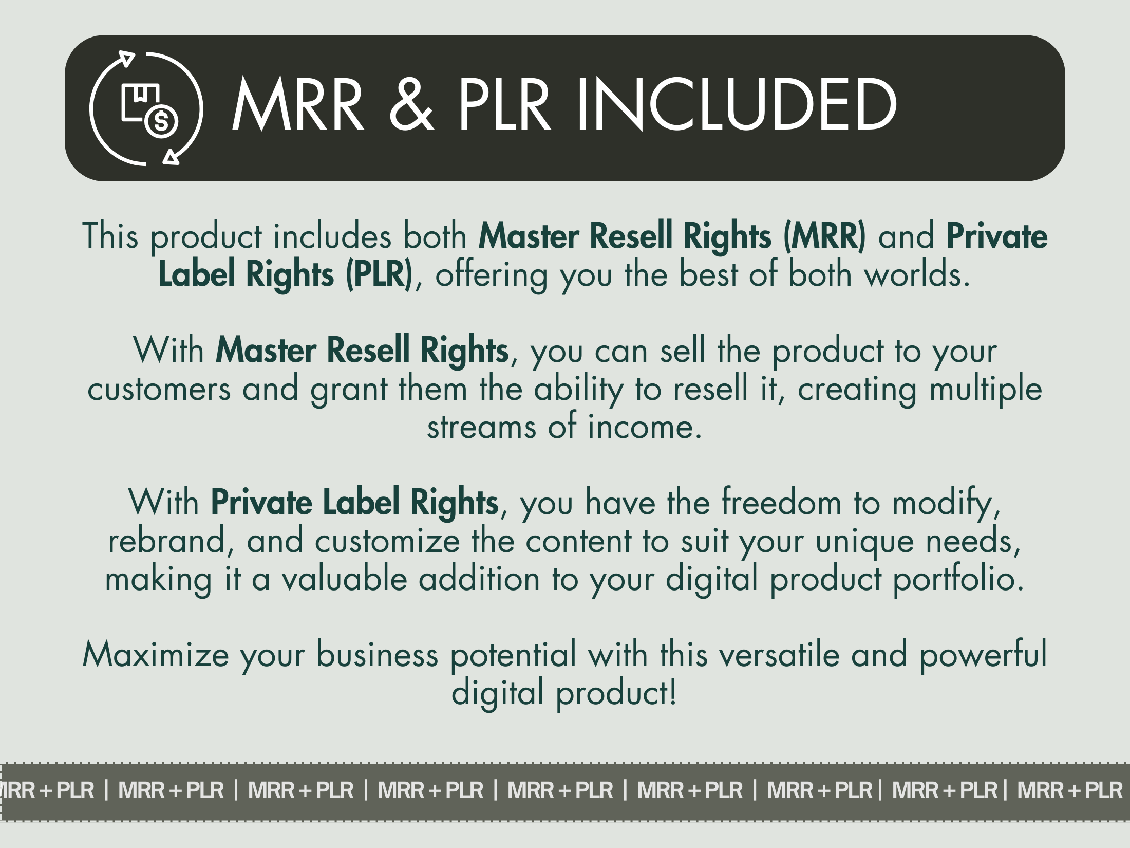 Details on the Master Resell Rights (MRR) and Private Label Rights (PLR) included with the 1000 Email Campaign Subject Lines guide.