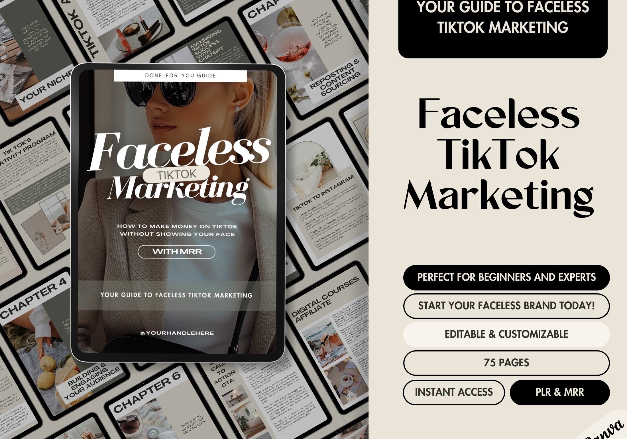 Cover image for Faceless TikTok Marketing Guide, featuring a professional layout with a focus on making money on TikTok anonymously.