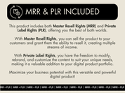 Details of MRR and PLR rights included with the Faceless YouTube Automation guide, allowing for resale and customization.