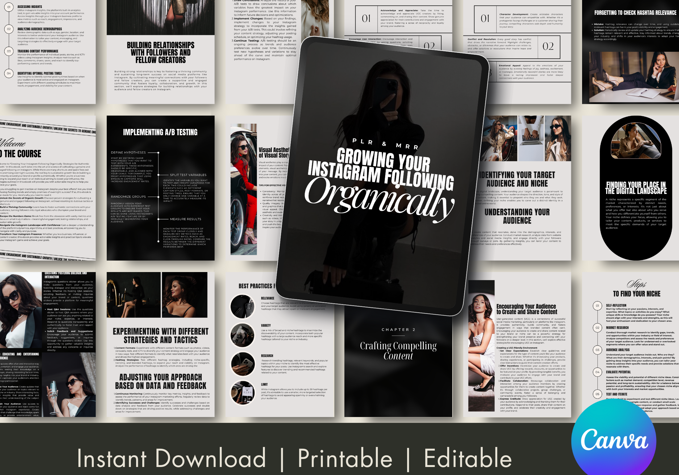 Overview of Instagram Insights and the importance of organic growth for increasing engagement and reach.