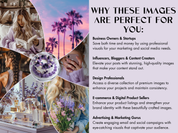 Why these images are perfect: Benefits for influencers, bloggers, and digital product creators