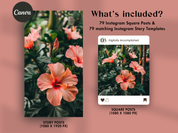 What's included: 79 Instagram square posts and matching story templates with tropical designs.