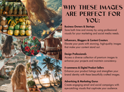 Why these images are perfect: Benefits for marketing professionals and influencers seeking tropical vibes.