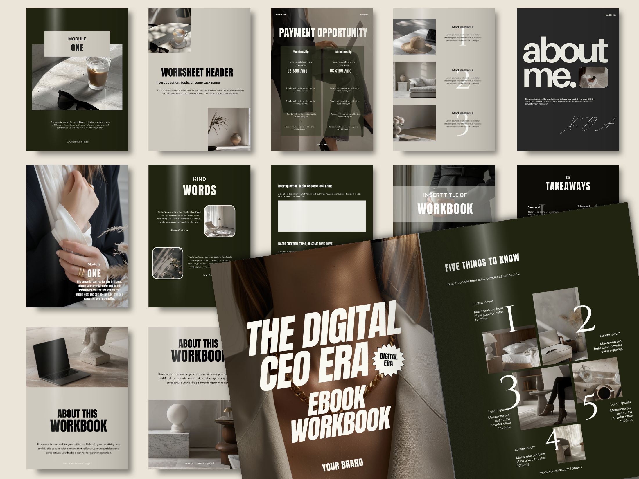 The Digital CEO Era Design Ebook & Workbook