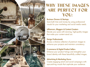 Graphic highlighting the benefits of the "Bali Bliss Visuals" collection for businesses, influencers, and creators, with emphasis on tropical serenity.