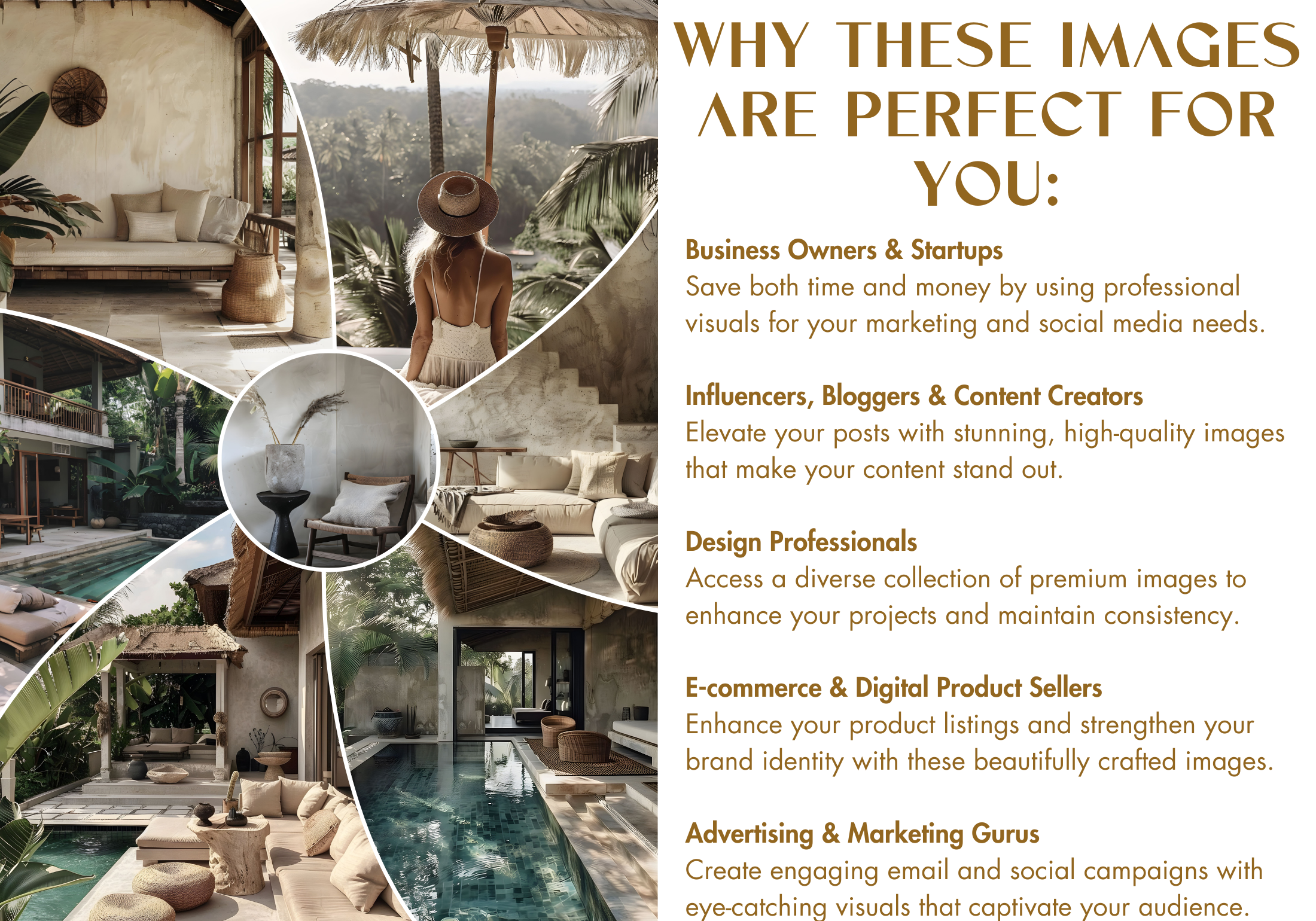 Graphic highlighting the benefits of the "Bali Bliss Visuals" collection for businesses, influencers, and creators, with emphasis on tropical serenity.