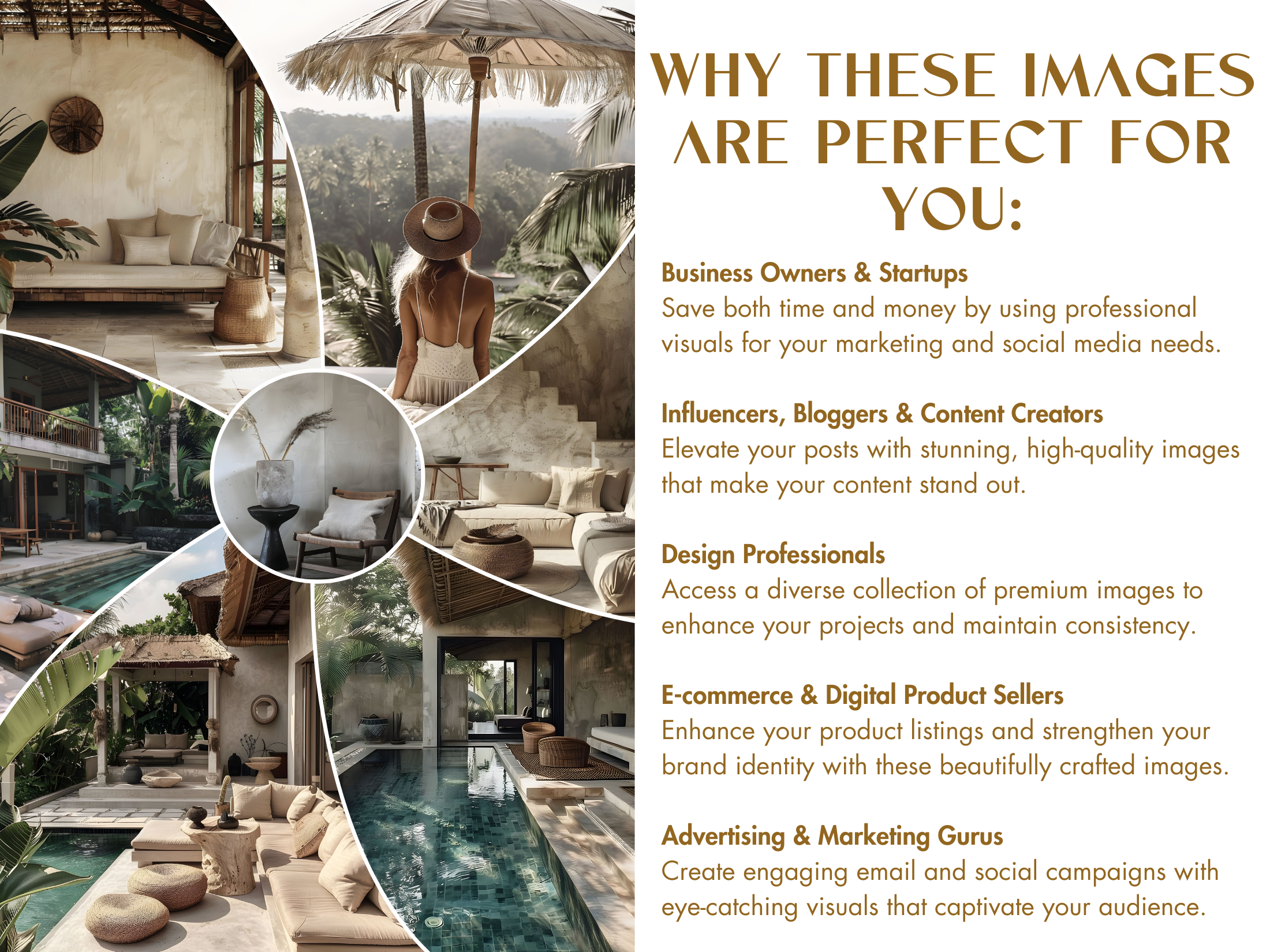 Graphic highlighting the benefits of the "Bali Bliss Visuals" collection for businesses, influencers, and creators, with emphasis on tropical serenity.