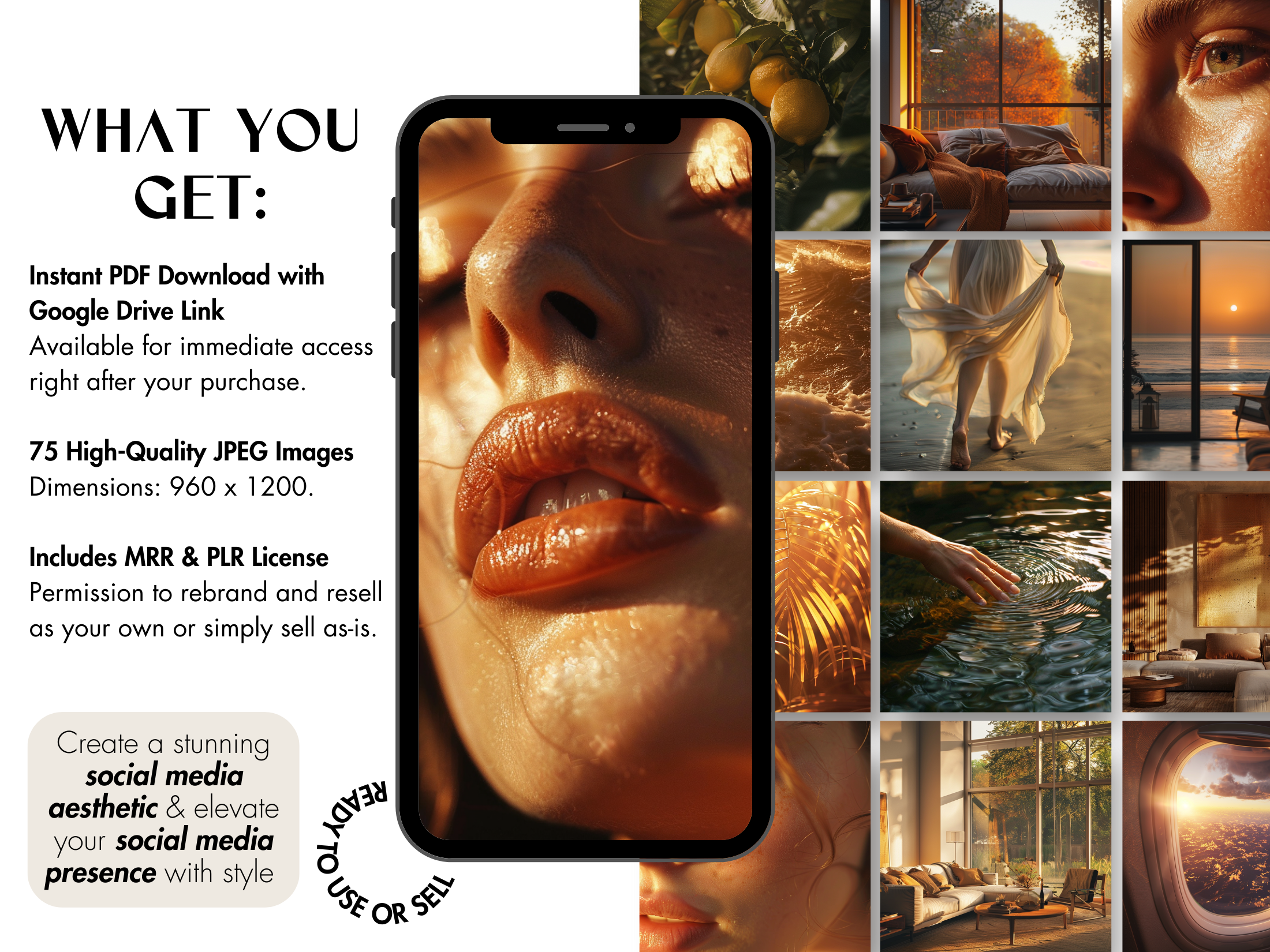 What You Get section showcasing the Gleam of Gold Bundle's features, including 75 high-quality JPEG images with MRR & PLR licenses.