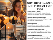 Visual description explaining why the Gleam of Gold images are perfect for business owners, influencers, content creators, and marketers.