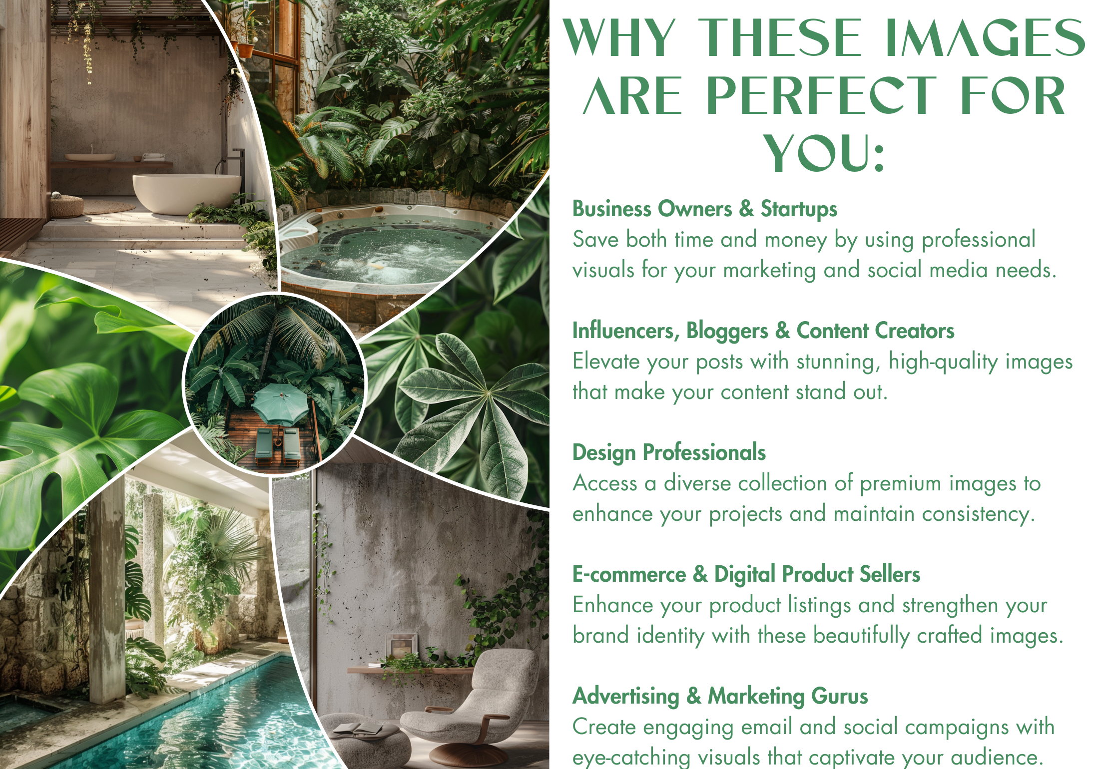 Graphic showing why the "Leafy Dreams" images are ideal for business owners, content creators, and marketers, emphasizing the beauty of green foliage.