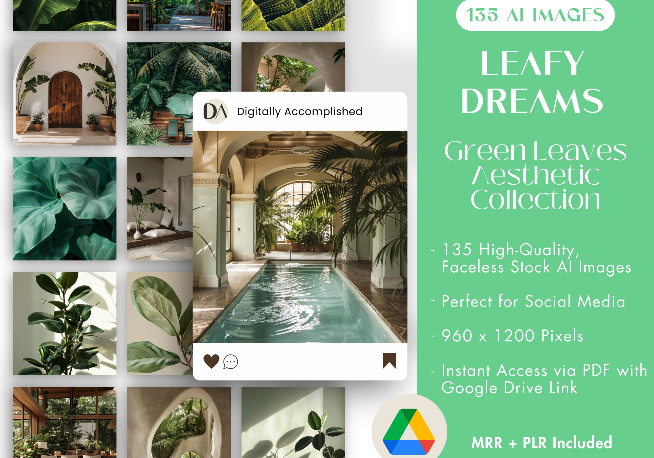 Cover image showcasing the "Leafy Dreams" stock photo bundle, highlighting the collection of green leaves and nature-inspired aesthetics.