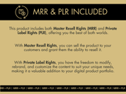 Details on the MRR and PLR included in the Neutral Business Woman Aesthetic Collection, perfect for resale and rebranding opportunities.