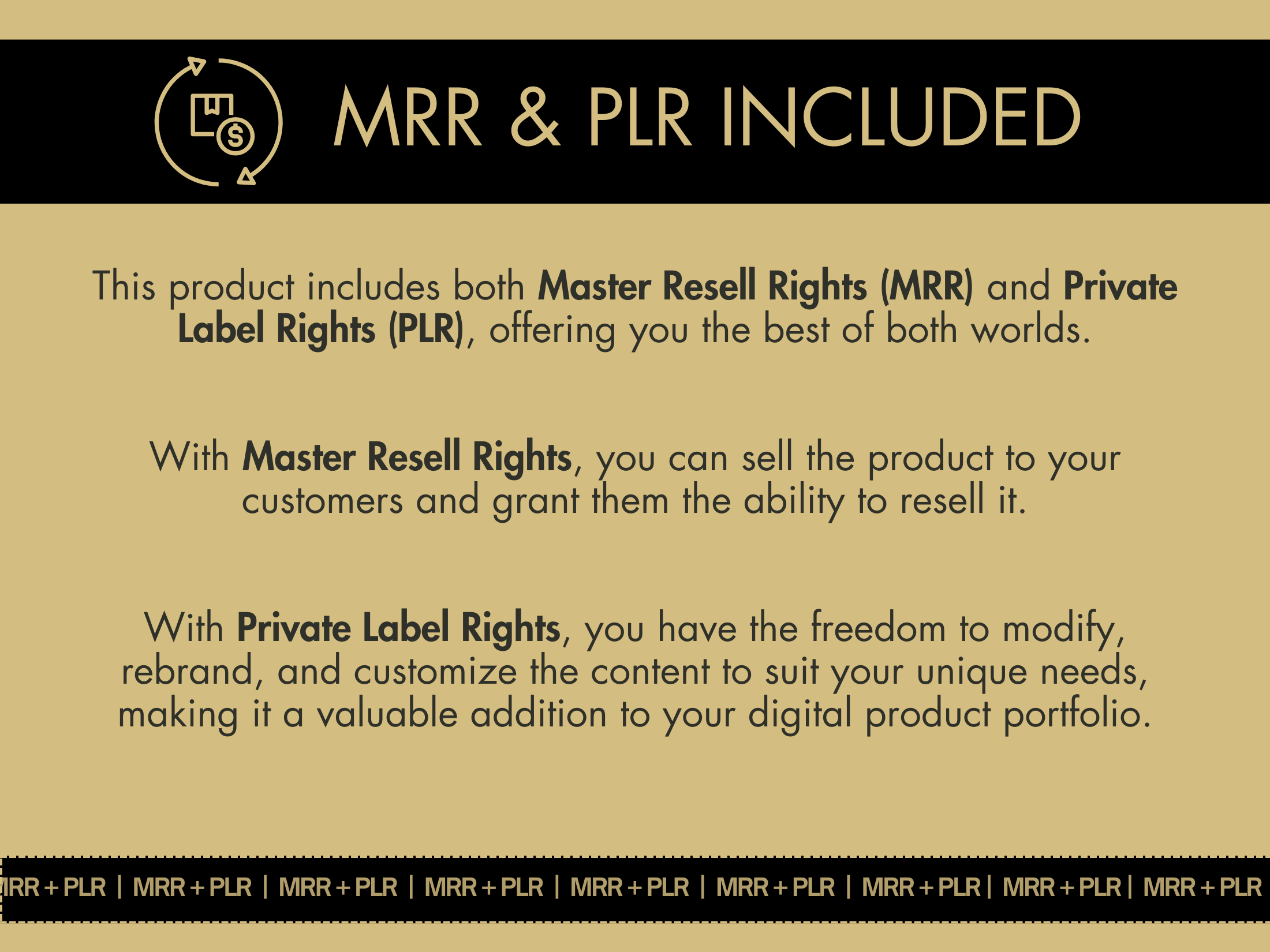 Details on the MRR and PLR included in the Neutral Business Woman Aesthetic Collection, perfect for resale and rebranding opportunities.